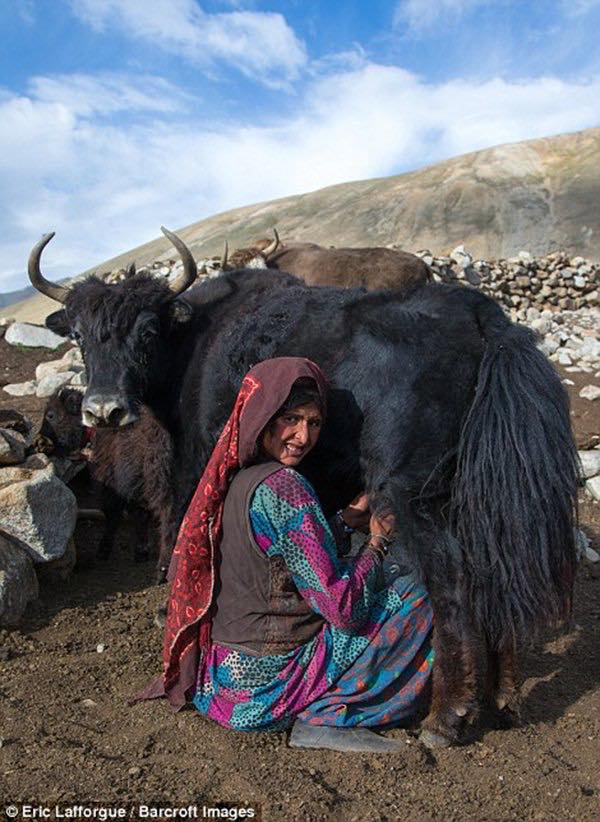 Kehidupan di Desa Ata 1-17 © 2016 brilio.net