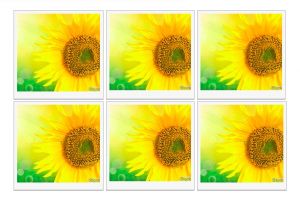 Bisakah kamu temukan perbedaan dari objek kembar di 8 gambar ini?