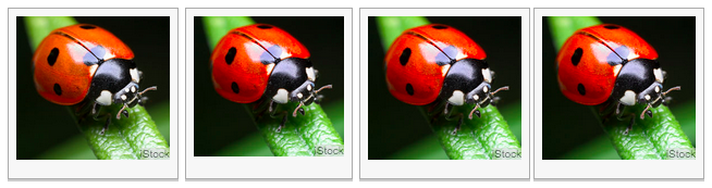 perbedaan gambar © 2016 brilio.net perbedaan gambar © 2016 brilio.net