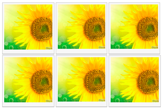 Bisakah kamu temukan perbedaan dari objek kembar di 8 gambar ini?