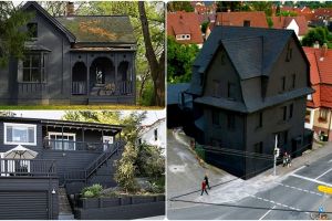 Unik, 16 rumah ini dicat dengan warna hitam pekat, alasannya apa ya?