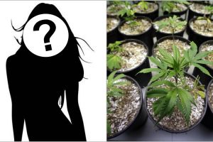 Member girlband Korea tanam ganja di rumahnya ini dituntut 6 bulan bui