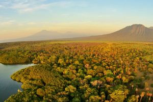 15 Foto keindahan Taman Nasional Baluran, 'Little Africa van Java'