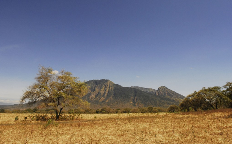Baluran © 2016 brilio.net