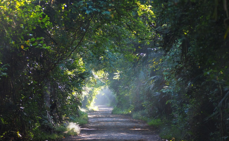 Baluran © 2016 brilio.net