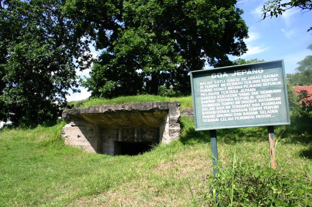 Baluran © 2016 brilio.net