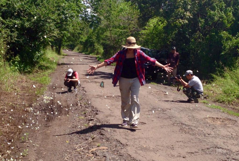 Baluran © 2016 brilio.net