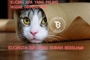 9 Meme tebak-tebakan kocak ini dijamin bikin jomblo nyesek