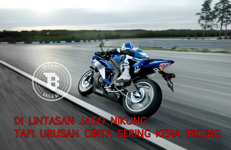 meme racing  © 2016 brilio.net