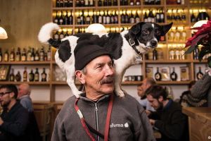 Anjing ini jadi model top, foto-fotonya sampai dibukukan lho