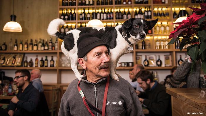 Dogs of Venice © 2016 brilio.net