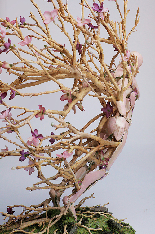 12 Perkawinan antara bonsai dan patung ini keren banget