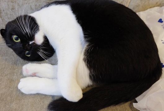 Chong Fen © 2016 brilio.net Chong Fen © 2016 brilio.net