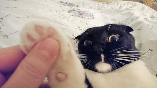 Chong Fen © 2016 brilio.net Chong Fen © 2016 brilio.net