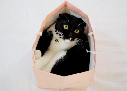 Chong Fen © 2016 brilio.net Chong Fen © 2016 brilio.net