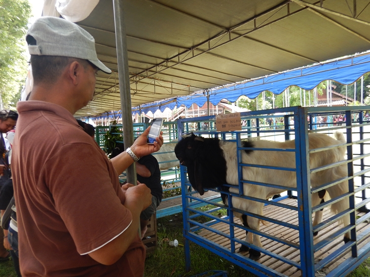 Festival Sate Klatak © 2016 brilio.net Festival Sate Klatak © 2016 brilio.net