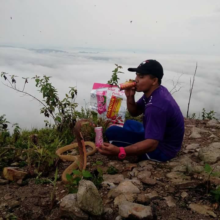 foto persahabatan pria dengan ular cobra ini bikin merinding © 2016 siakapkeli foto persahabatan pria dengan ular cobra ini bikin merinding © 2016 siakapkeli