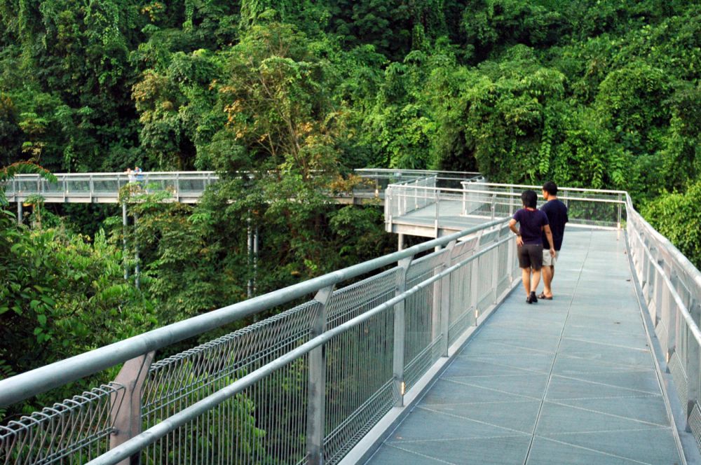 hutan singapura Istimewa