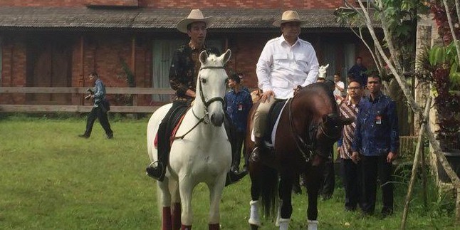 Temui Prabowo, Jokowi dijamu nasi goreng dan diajak berkuda © 2016 brilio.net
