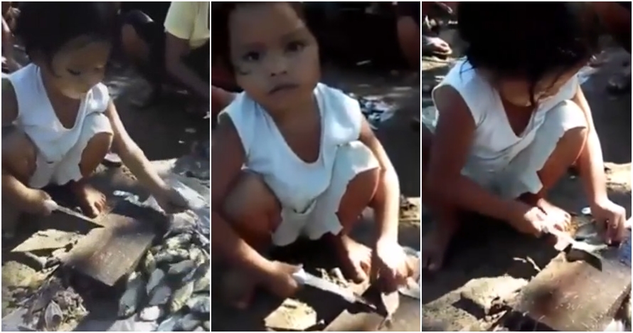 Bocah ini lihai memegang pisau demi membantu orangtuanya bekerja