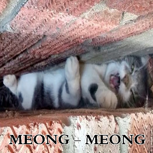 Korea Jawa  © 2016 brilio.net