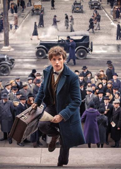 Fantastic Beasts BTS © 2016 brilio.net Fantastic Beasts BTS © 2016 brilio.net