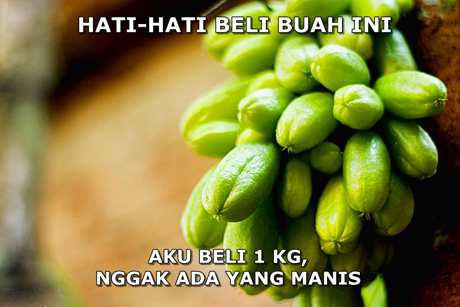 meme hati-hati beli © 2016 istimewa meme hati-hati beli © 2016 istimewa