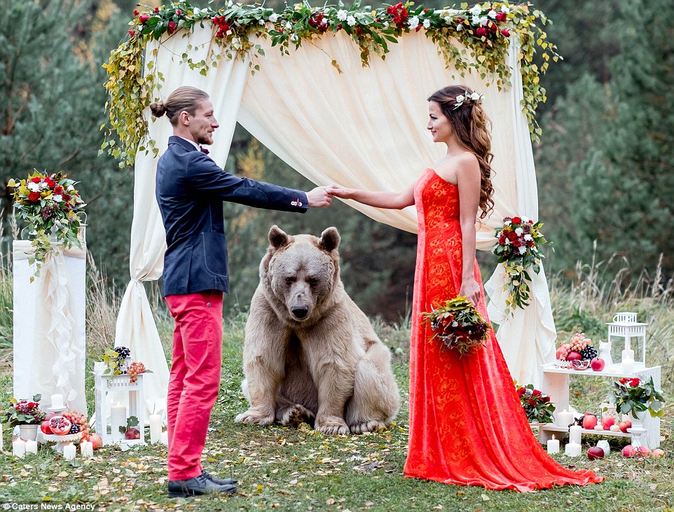 Pasangan pengantin ini undang seekor beruang jadi 'saksi' pernikahan