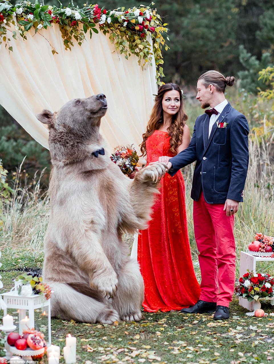 Pasangan pengantin ini undang seekor beruang jadi 'saksi' pernikahan
