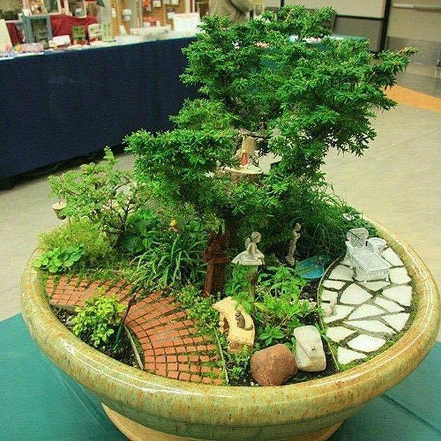 18 model bonsai ini bisa jadi hiasan halaman rumahmu biar tambah sejuk
