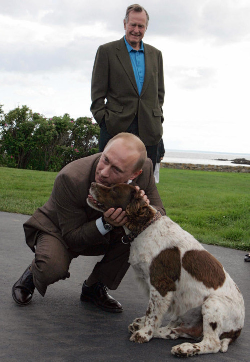 Tak cuma berwibawa, 15 foto ini bukti Vladimir Putin penyayang hewan