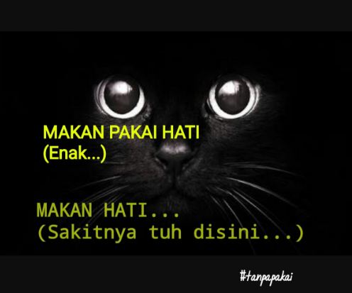 meme tanpa © 2016 brilio.net