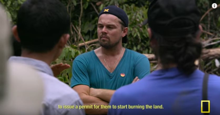 Film dokumenter Leonardo DiCaprio ini ungkap rusaknya hutan Indonesia