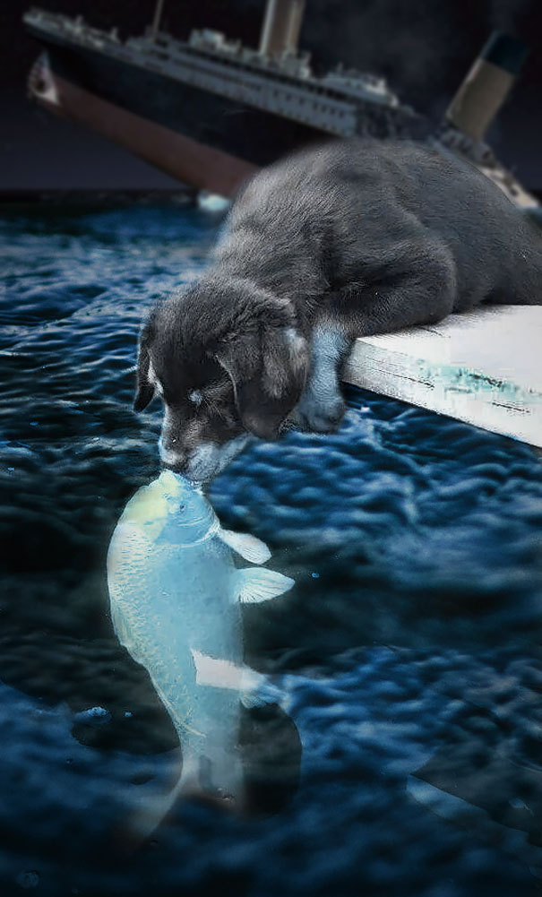 10 Editan foto anak anjing cium ikan ini bikin ngakak