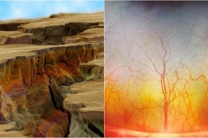 10 Foto makro ini kerennya kebangetan, kamu pasti nggak nyangka