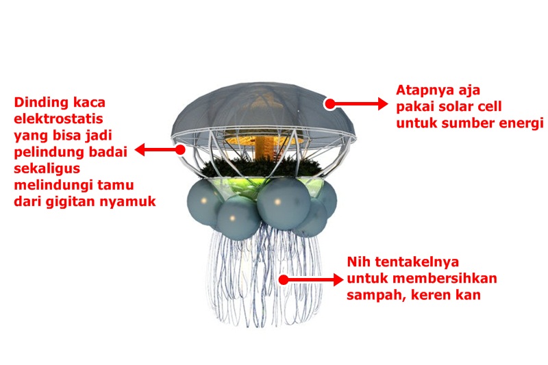 Jellyfish Lodge © 2016 brilio.net Jellyfish Lodge © 2016 brilio.net