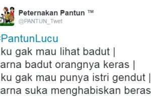 10 Pantun kocak ini ngocol abis, ada yang garing nggak ya?