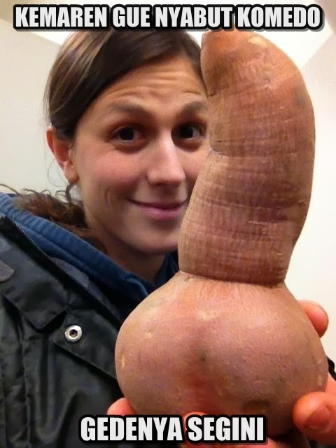 Meme Gedenya Segini © 2016 brilio.net