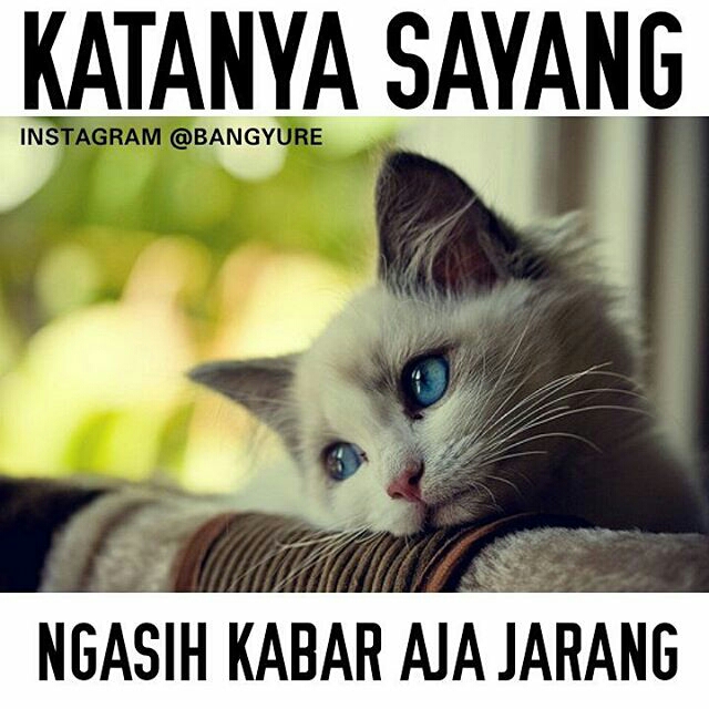 meme katanya sayang © 2016 brilio.net