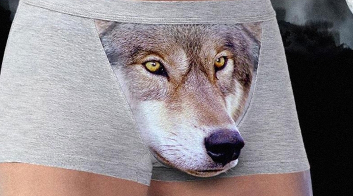 celana dalam moncong © 2016 amazon