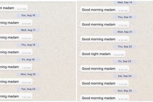 Tiga bulan kirim SMS setiap hari, balasan cewek ini malah bikin syok
