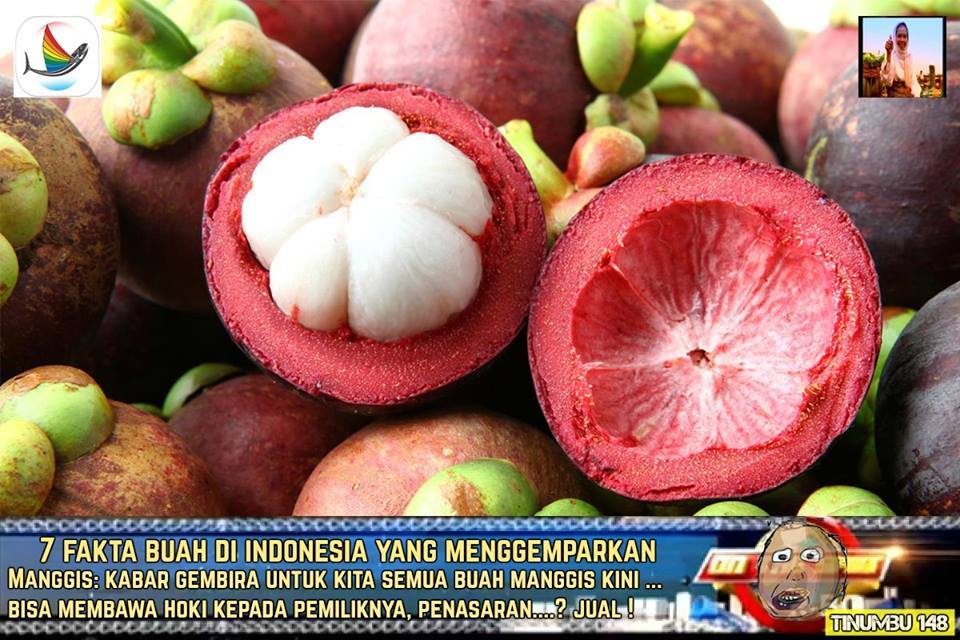 7 Fakta menggemparkan seputar buah asal Indonesia ini bikin ketawa