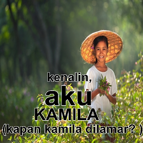 meme kenalin aku  © 2016 brilio.net