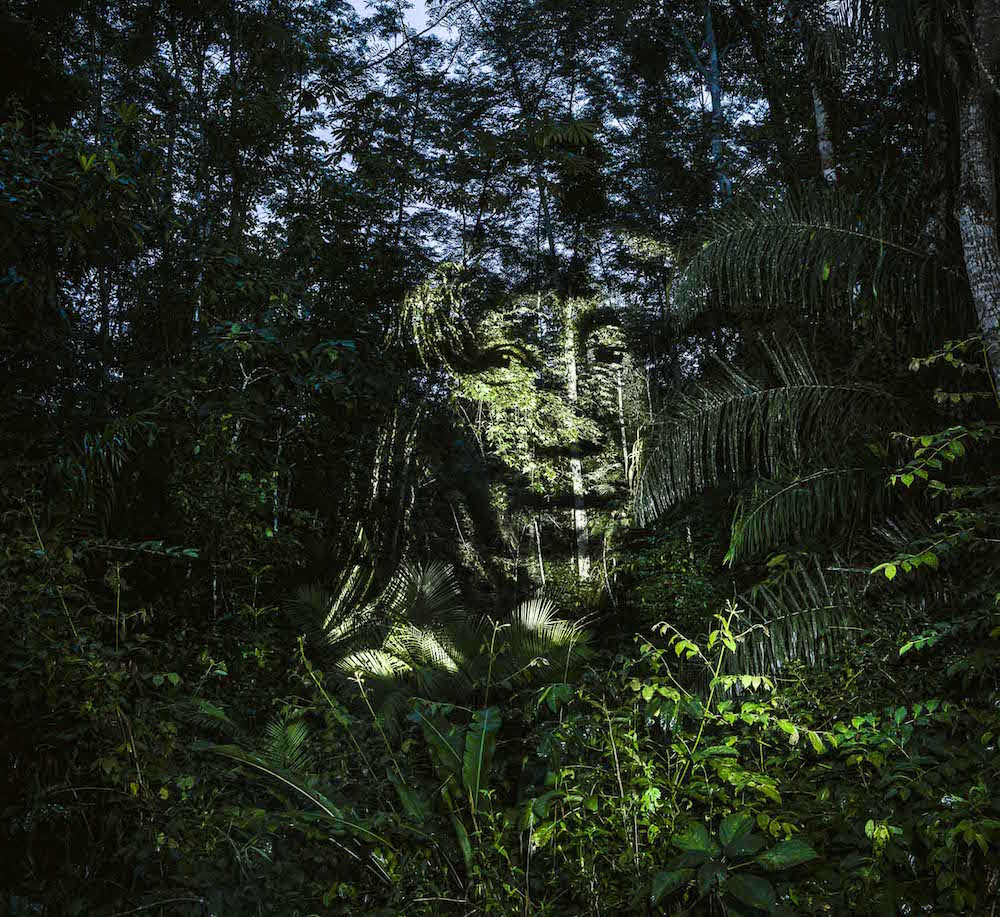 Karya seni ini penuh makna, ada wajah orang di pepohonan Hutan Amazon