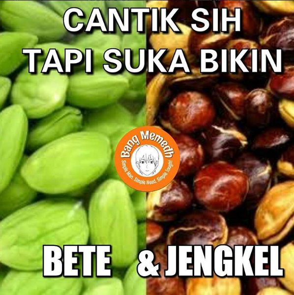 6 Meme pelesetan kata ini bikin gemes sendiri, kriuk deh..