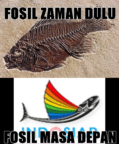 meme fosil  © 2016 brilio.net