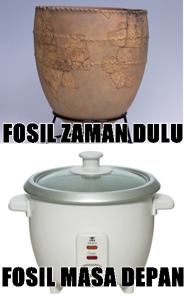 meme fosil  © 2016 brilio.net