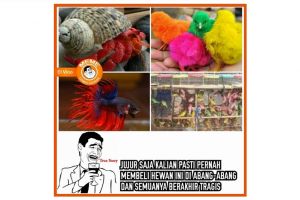 7 Hewan ini dijadikan 'mainan' idola anak 90-an tapi berakhir tragis