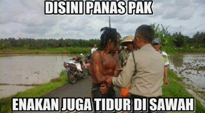 Tidur Di Sawah © 2016 brilio.net