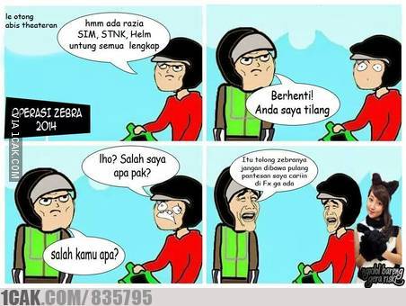 meme zebra  © 2016 brilio.net meme zebra  © 2016 brilio.net